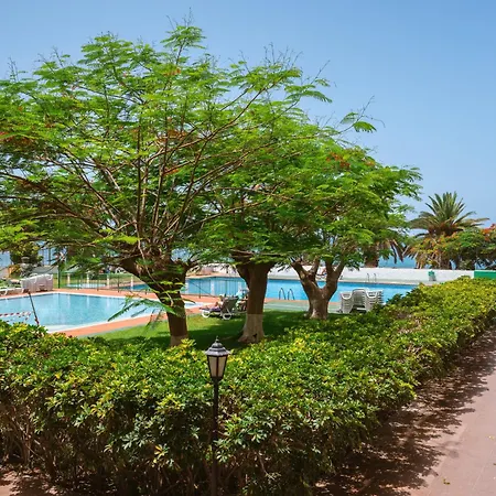 Go2tenerife Apart'dida Pool & First Line Of The Sea Los Cristianos (Tenerife)